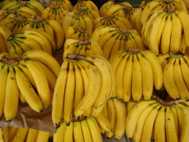 Crece producción de banano en Nicaragua