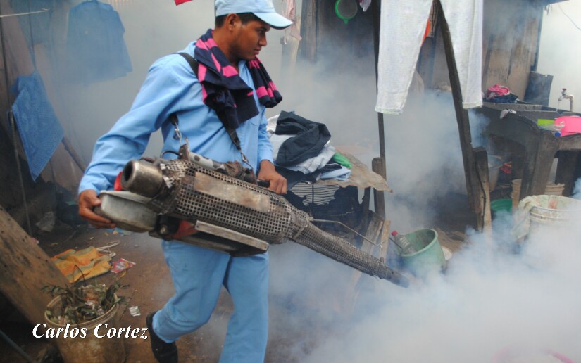 Minsa Fumiga M S De Viviendas Del Distrito Ii De Managua