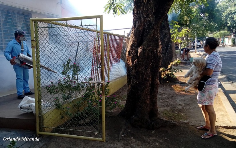 Minsa Fumiga Viviendas Del Barrio El Para Sito