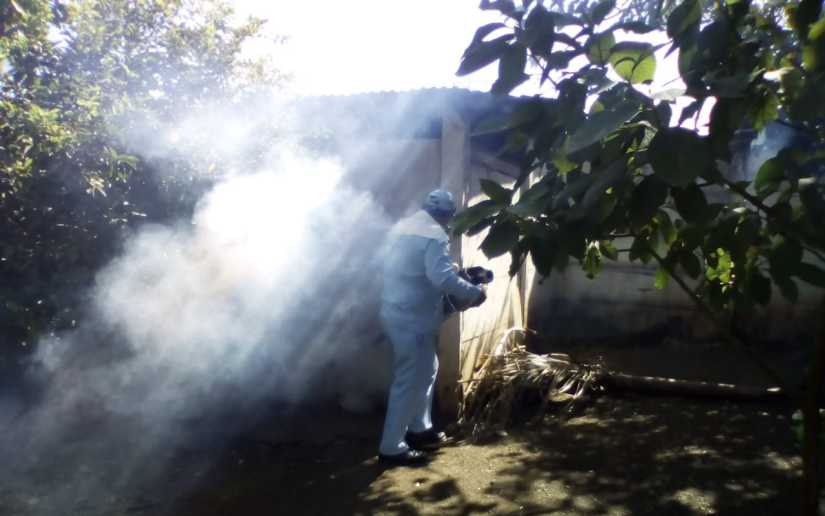 Brigadas de salud fumigan barrio Bertha Díaz