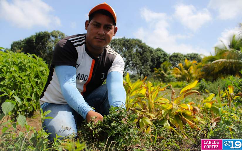 Sistema Nacional de Producción realizará primer Certamen de