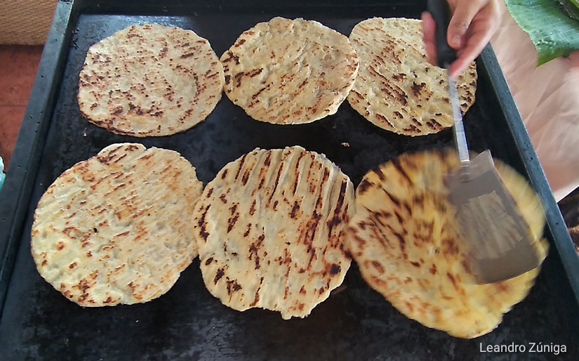 Este es el secreto del exquisito sabor de las güirilas que se elaboran en  la Casa del Maíz