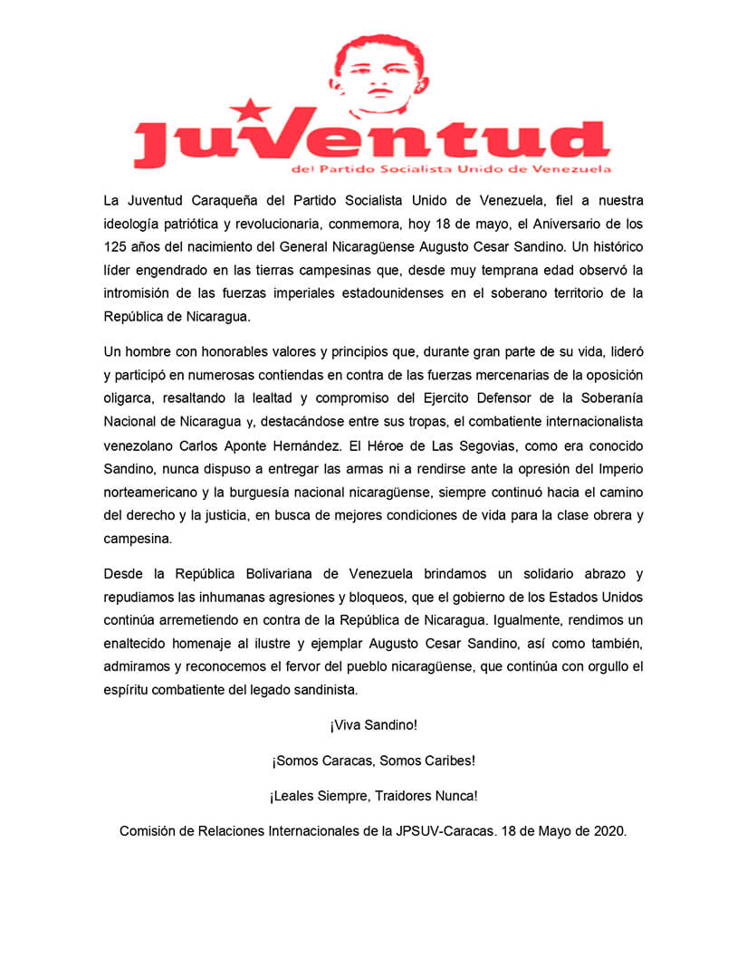 saludo-juventud-psuve