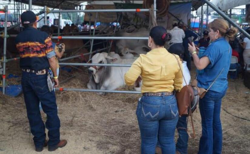 Feria Ganadera 2024 Chinandega vivió la mayor fiesta de cultura