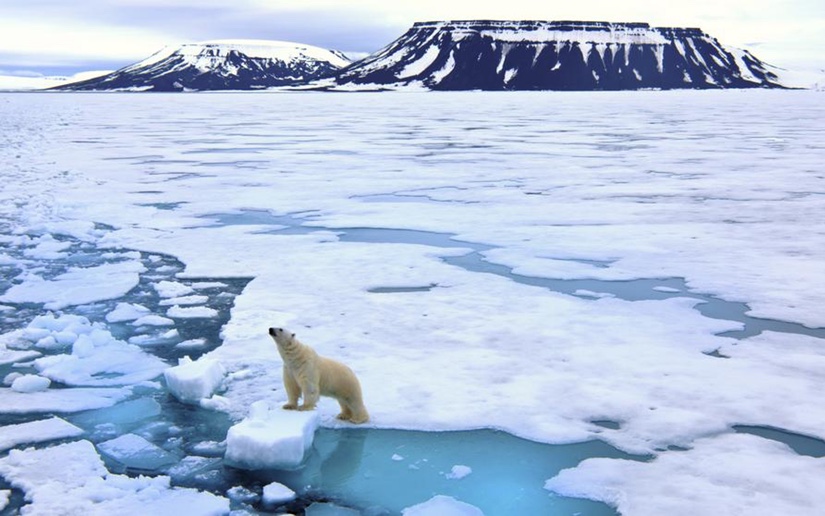 Resultado de imagen para capa de hielo