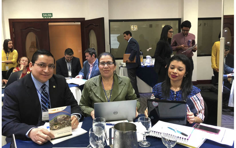 Nicaragua Participa En La Ii Reuni N T Cnica De La Iniciativa Conjunta De Salud De Las Personas