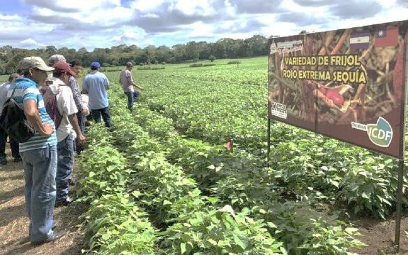 Producer families in technological development centers, farms for experimentation in crops and animals, and laboratories for production