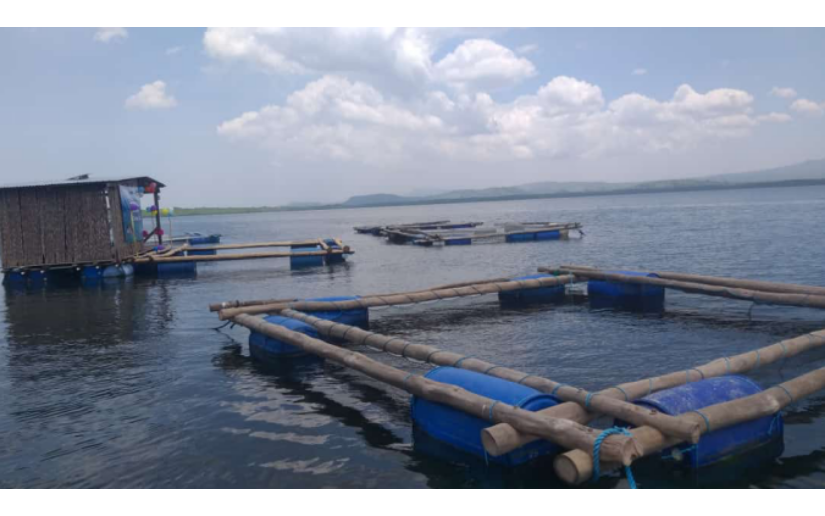 Inauguramos jaulas flotantes de pargo en La Ballona, Chinandega