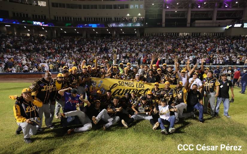 Leones de León, Campeones de la Profesional