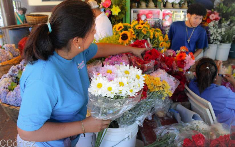 Vendedores de flores preparados para el Día de los Fieles Difuntos