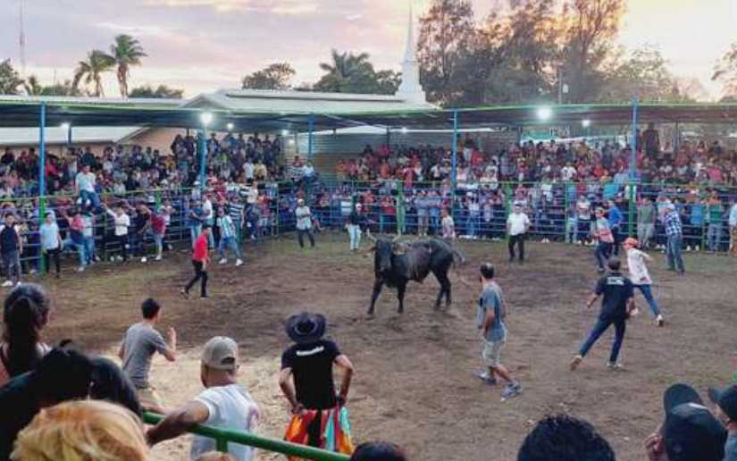 Realizan corridas de toros en honor a San Sebastián en Diriamba