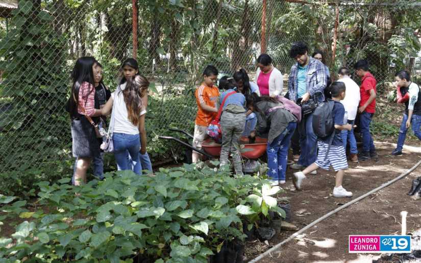 Niños Y Niñas Aprenden Sobre La Importancia De Los Viveros Forestales 