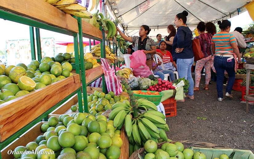 Programación de festivales, mercaditos campesinos y ferias de la economía familiar